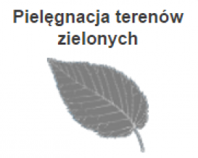 Pielęgnacja terenów zielonych