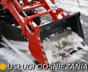 Odśnieżanie