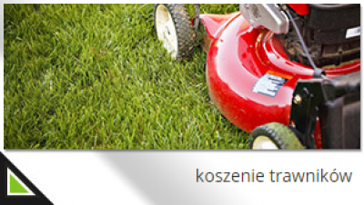Koszenie trawników