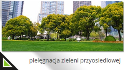 Pielęgnacja zieleni przyosiedlowej