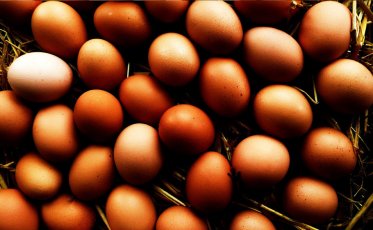 Jaja od kur z wolnego wybiegu i chowu ściółkowego