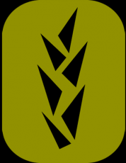 Agrotrzcina - Tomasz Trzciński