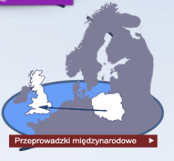Przeprowadzki międzynarodowe