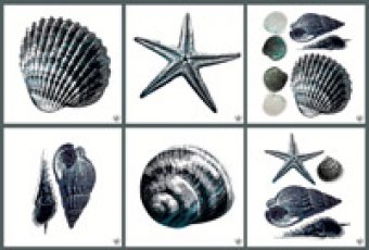 Dekoracja i wyposażenie wnętrz