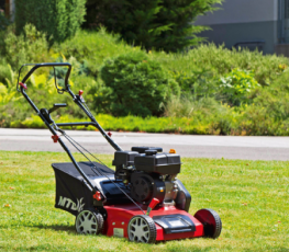 Wynajem Sprzętu Ogrodniczego