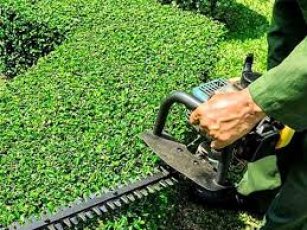 PIELĘGNACJA OGRODÓW