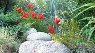 Aranżacje ogrodowe i krajobrazowe