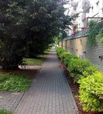 Stałe usługi sprzątania