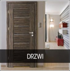 DRZWI