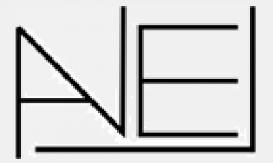 ANEL - Andrzej Sokolik