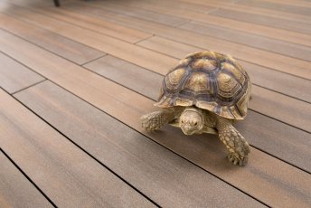 Tarasy kompozytowe Megawood