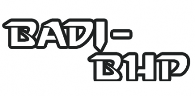 BADI-BHP
