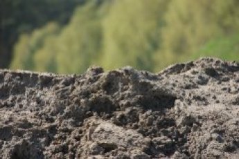 Czarna ziemia (polna)