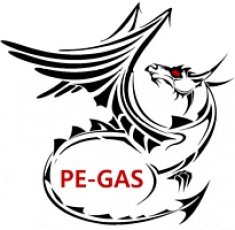 PE-GAS Sp. z o.o.