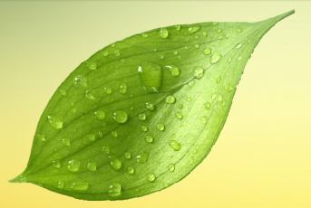 Dystrybucja wody Katowice