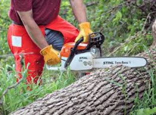 SPECJALISTYCZNA WYCINKA DRZEW