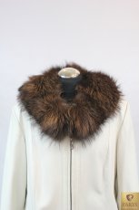 Kołnierz (lis srebrny)