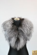 Kołnierz (lis srebrny)