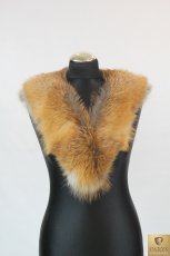 KOŁNIERZ (lis rudy)