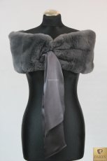 ETOLA/ KOŁNIERZ REX