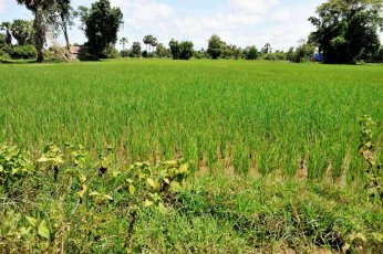 Wycena nieruchomości gruntowej.