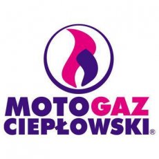 Elektryka samochodowa