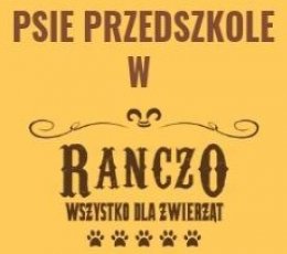 Psie przedszkole Zabrze Grzybowice