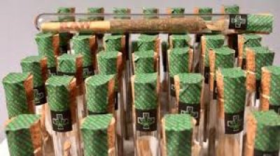 Kwiaty CBD Konopi Siewnej Pre-Rolls