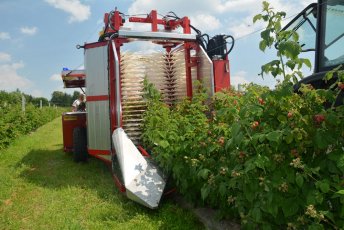 Kombajn do malin KAEN