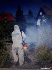 Zwalczanie kleszczy – odkleszczanie