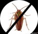 Zwalczanie karaluchów - karaczanów , prusaków