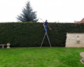 Pielęgnacja zieleni