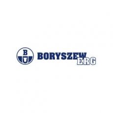 Polski producent produktów motoryzacyjnych- Boryszew ERG