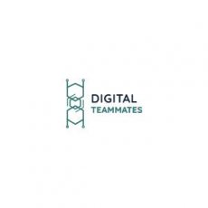 Optymalizacja procesów biznesowych - Digital Teammates