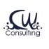 CW Consulting