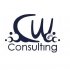 CW Consulting