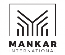 Dealer, broker, importer aut z Aukcji samochodowych