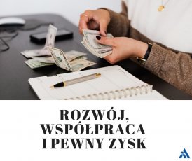 Oferta współpracy - szukamy Partnerów