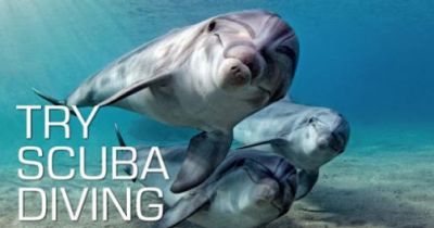 SCUBA EXPERIENCE - szkolenia dla nurków początkujących