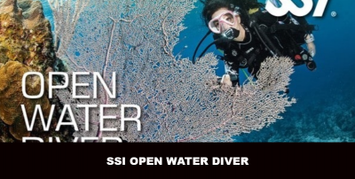 Nurkowanie - szkolenia podstawowe