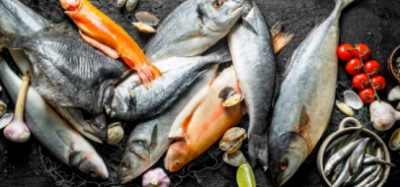 OFERTA DLA PRZEMYSŁU RYBNEGO