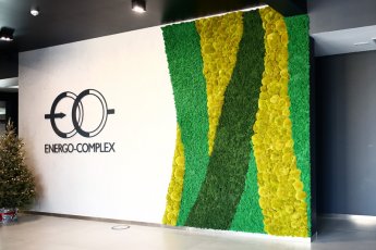 Aranżacje z chrobotka