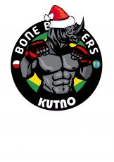 Poprawianie loga, korekta