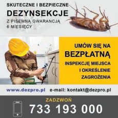 Dezpro.pl - dezynsekcja, deratyzacja, dezynfekcja Warszawa