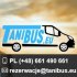 TANI BUS