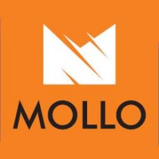 Mollo Auto Serwis