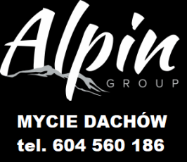 Alpin Group