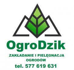 OgroDzik