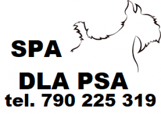 SPA DLA PSA MONIKA MIKOŁAJCZAK