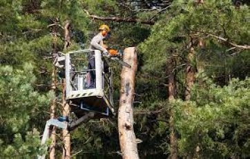 Usługi Podnośnikiem Koszowym